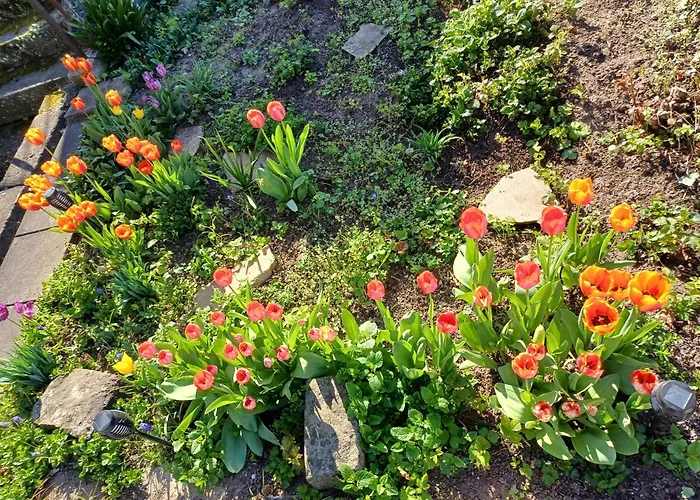 Plantagengut Hosterwitz