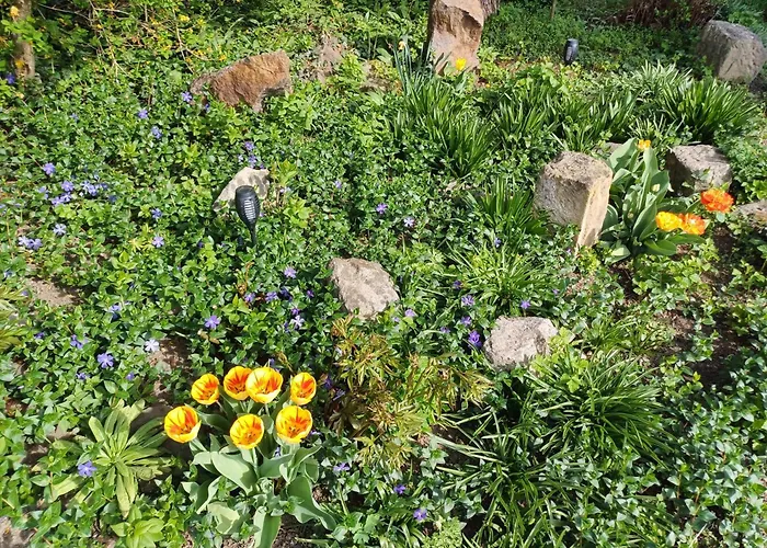 Plantagengut Hosterwitz