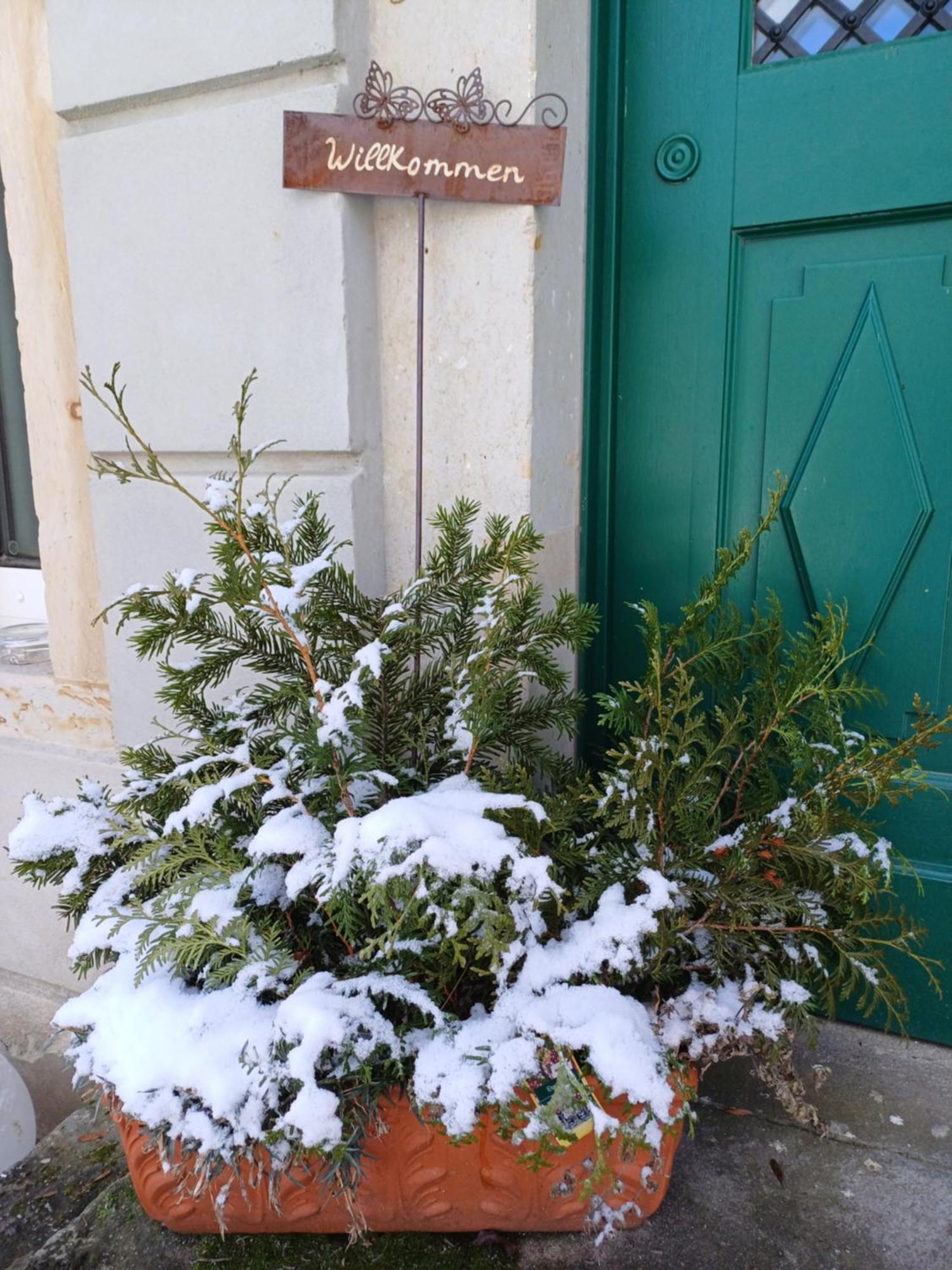 Plantagengut Hosterwitz Maison d'hôtes